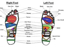 reflexology foot chart